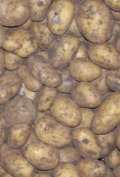 Kartoffeln 12,5kg-Beutel